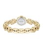 Montre BOSS BLACK DOUBLE B DRESSY Femme 1502794 Analogue Cadran MINERAL Or jaune Bracelet Acier Or jaune Etanchéité 3BAR