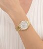Montre BOSS BLACK GRACEFUL PRECIOUS Femme 1502810 Analogue Cadran MINERAL Argenté Bracelet Acier Or jaune Etanchéité 3BAR