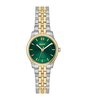 Montre BOSS BLACK GRACEFUL MINA Femme 1502841 Analogue Cadran MINERAL Vert Bracelet Acier inoxydable Acier / or jaune Etanchéité 3BAR