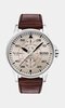 Horloge BOSS BLACK AVIATOR Heren 1513516