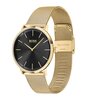 Montre BOSS BLACK SKYLINER Homme 1513909 Analogique Cadran Minéral Noir Bracelet Milanais Doré Clip / clasp Etanchéité 5 BAR