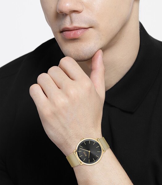 Montre BOSS BLACK SKYLINER Homme 1513909 Analogique Cadran Minéral Noir Bracelet Milanais Doré Clip / clasp Etanchéité 5 BAR