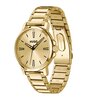 Montre HUGO SMOOTH Homme 1530420 Analogue Cadran MINERAL Or jaune Bracelet Acier Or jaune Etanchéité 3BAR