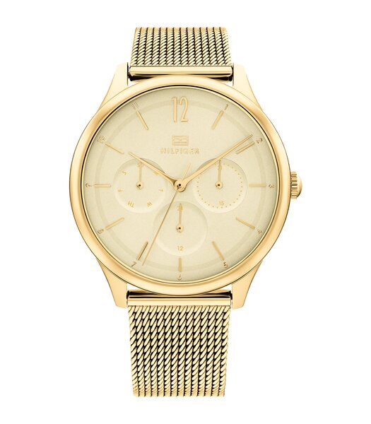Montre TOMMY HILFIGER LAYLA Femme 1782458 Analogue Cadran MINERAL Or jaune Bracelet Acier Or jaune Clip / clasp Etanchéité 3BAR