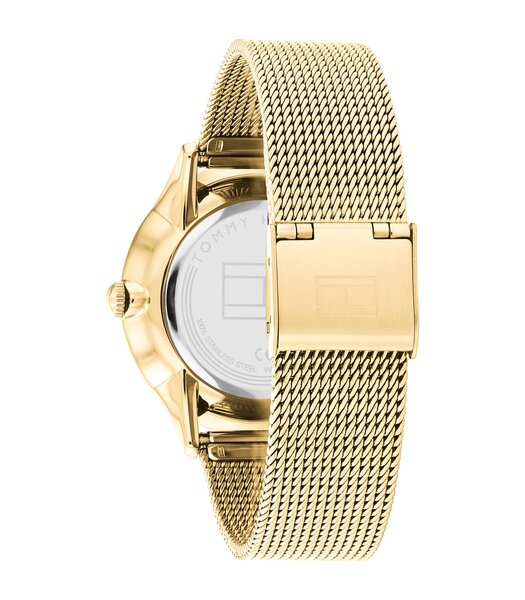 Montre TOMMY HILFIGER LAYLA Femme 1782458 Analogue Cadran MINERAL Or jaune Bracelet Acier Or jaune Clip / clasp Etanchéité 3BAR