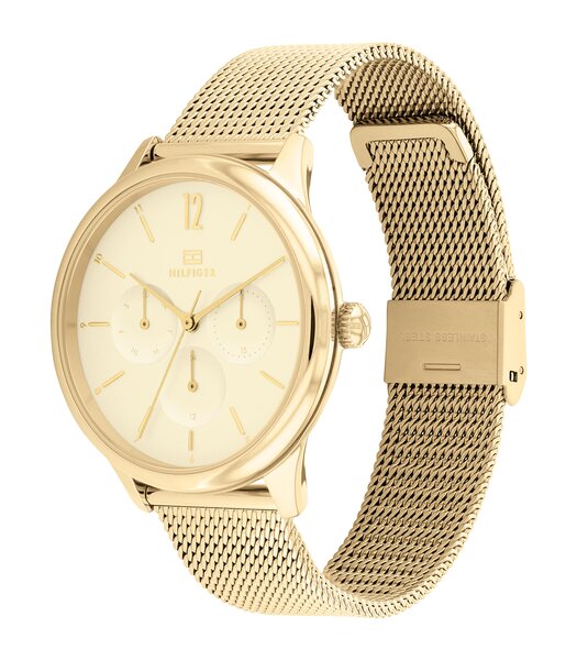 Montre TOMMY HILFIGER LAYLA Femme 1782458 Analogue Cadran MINERAL Or jaune Bracelet Acier Or jaune Clip / clasp Etanchéité 3BAR