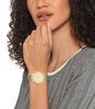 Montre TOMMY HILFIGER LAYLA Femme 1782458 Analogue Cadran MINERAL Or jaune Bracelet Acier Or jaune Clip / clasp Etanchéité 3BAR
