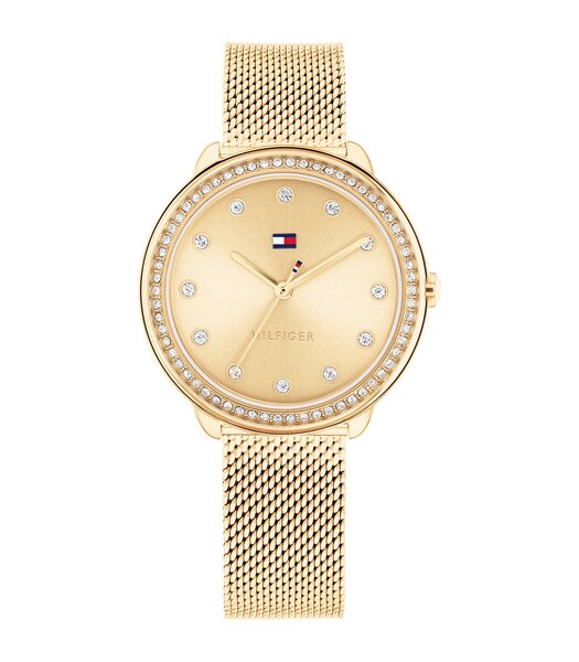Montre TOMMY HILFIGER DEMI Femme 1782699 Analogue Cadran MINERAL Or jaune Bracelet Acier Or jaune Etanchéité 3BAR
