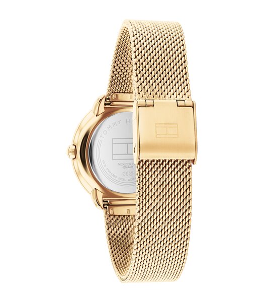 Montre TOMMY HILFIGER DEMI Femme 1782699 Analogue Cadran MINERAL Or jaune Bracelet Acier Or jaune Etanchéité 3BAR