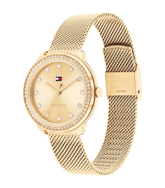 Montre TOMMY HILFIGER DEMI Femme 1782699 Analogue Cadran MINERAL Or jaune Bracelet Acier Or jaune Etanchéité 3BAR