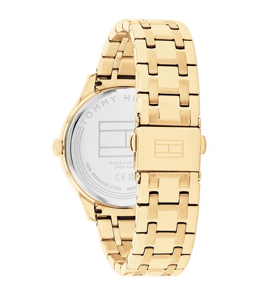 Montre TOMMY HILFIGER GIANNA (38MM) Femme 1782751 Analogue Cadran MINERAL Or jaune Bracelet Acier Or jaune Etanchéité 3BAR