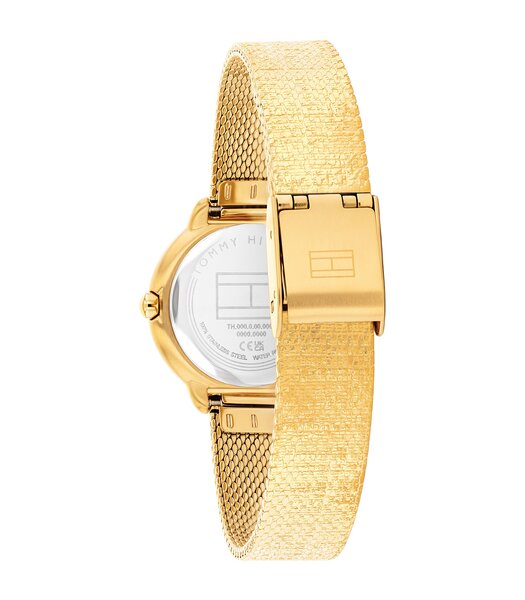 Montre TOMMY HILFIGER DEMI Femme 1782811 Analogue Cadran MINERAL Or jaune Bracelet Acier Or jaune Etanchéité 3BAR