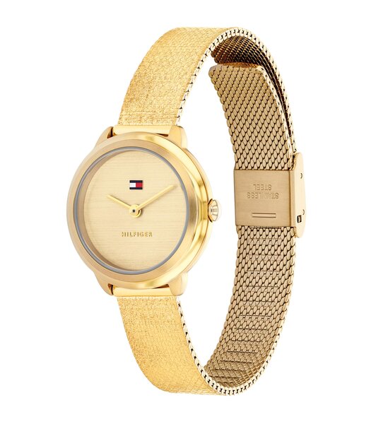 Montre TOMMY HILFIGER DEMI Femme 1782811 Analogue Cadran MINERAL Or jaune Bracelet Acier Or jaune Etanchéité 3BAR