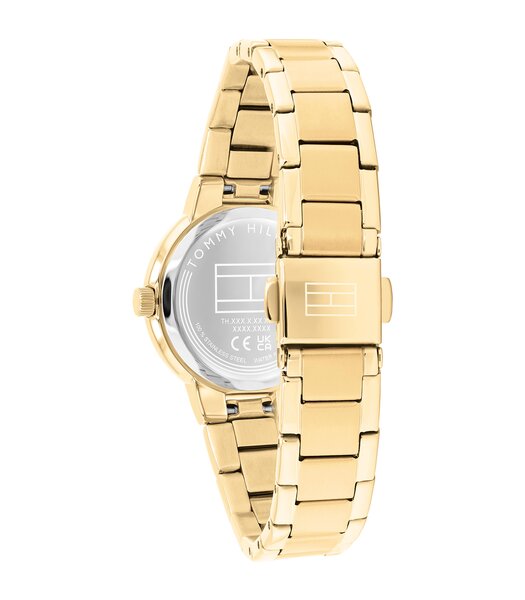Montre TOMMY HILFIGER BECCA Femme 1782905 Analogue Cadran MINERAL Or jaune Bracelet Acier Or jaune Etanchéité 3BAR