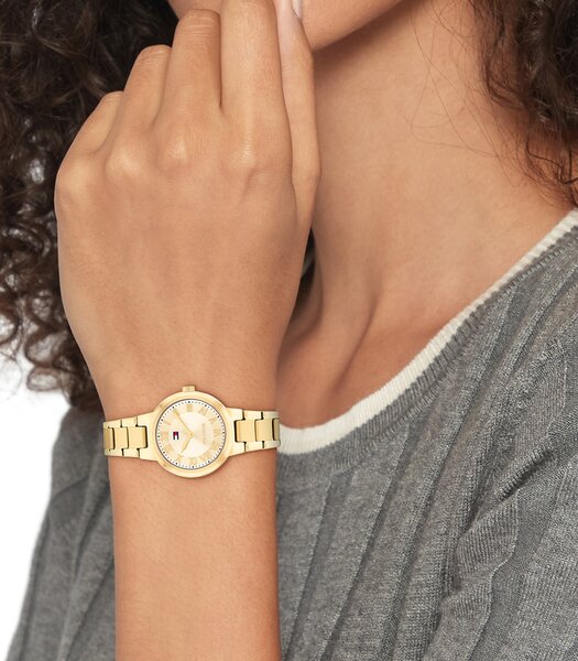 Montre TOMMY HILFIGER BECCA Femme 1782905 Analogue Cadran MINERAL Or jaune Bracelet Acier Or jaune Etanchéité 3BAR