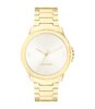 Montre CALVIN KLEIN WATCHES VIVACIOUS Femme 25100023 Analogue Cadran MINERAL Argenté Bracelet Acier Or jaune Boucle déployante Etanchéité 3BAR