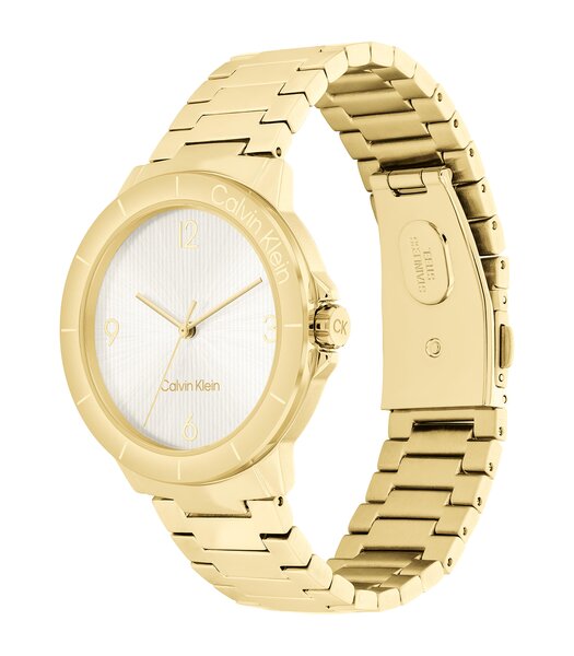 Montre CALVIN KLEIN WATCHES VIVACIOUS Femme 25100023 Analogue Cadran MINERAL Argenté Bracelet Acier Or jaune Boucle déployante Etanchéité 3BAR