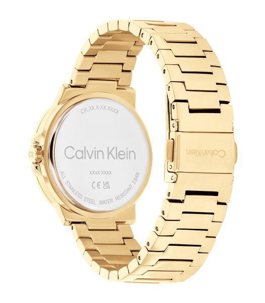 Montre CALVIN KLEIN WATCHES VIVACIOUS Femme 25100023 Analogue Cadran MINERAL Argenté Bracelet Acier Or jaune Boucle déployante Etanchéité 3BAR
