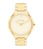 Montre CALVIN KLEIN WATCHES DELIGHT Femme 25100048 Analogue Cadran MINERAL Or jaune Bracelet Acier Or jaune Etanchéité 3BAR