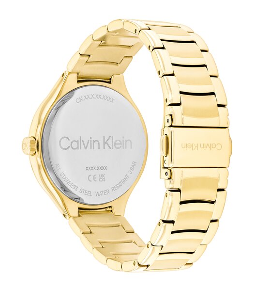 Montre CALVIN KLEIN WATCHES DELIGHT Femme 25100048 Analogue Cadran MINERAL Or jaune Bracelet Acier Or jaune Etanchéité 3BAR