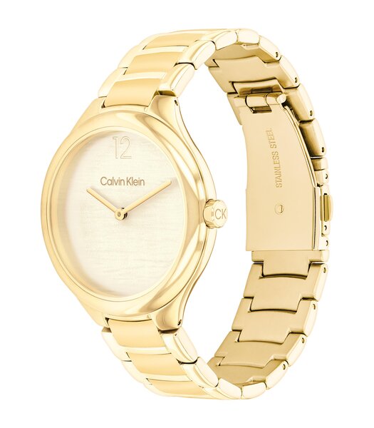 Montre CALVIN KLEIN WATCHES DELIGHT Femme 25100048 Analogue Cadran MINERAL Or jaune Bracelet Acier Or jaune Etanchéité 3BAR