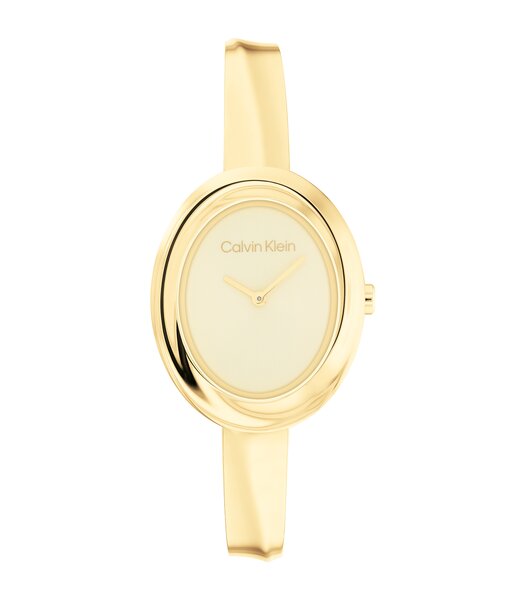 Montre CALVIN KLEIN WATCHES TWISTED BEZEL Femme 25100056 Analogue Cadran MINERAL Or jaune Bracelet Acier Or jaune Etanchéité 3BAR