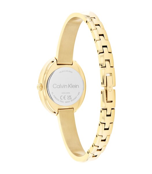 Montre CALVIN KLEIN WATCHES TWISTED BEZEL Femme 25100056 Analogue Cadran MINERAL Or jaune Bracelet Acier Or jaune Etanchéité 3BAR