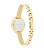 Montre CALVIN KLEIN WATCHES TWISTED BEZEL Femme 25100056 Analogue Cadran MINERAL Or jaune Bracelet Acier Or jaune Etanchéité 3BAR