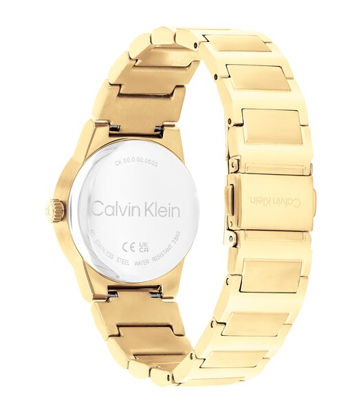 Montre CALVIN KLEIN WATCHES CK LINEAR ELEGANCE Femme 25100077 Analogue Cadran MINERAL Or jaune Bracelet Acier Or jaune Etanchéité 3BAR