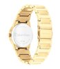 Montre CALVIN KLEIN WATCHES CK LINEAR ELEGANCE Femme 25100077 Analogue Cadran MINERAL Or jaune Bracelet Acier Or jaune Etanchéité 3BAR