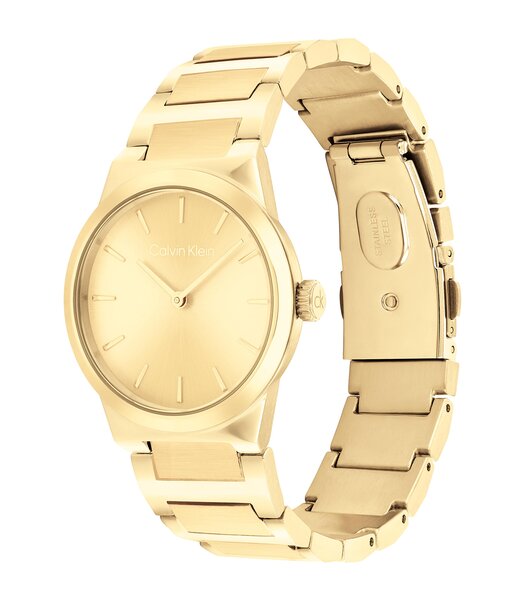 Montre CALVIN KLEIN WATCHES CK LINEAR ELEGANCE Femme 25100077 Analogue Cadran MINERAL Or jaune Bracelet Acier Or jaune Etanchéité 3BAR