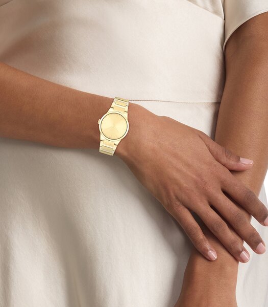 Montre CALVIN KLEIN WATCHES CK LINEAR ELEGANCE Femme 25100077 Analogue Cadran MINERAL Or jaune Bracelet Acier Or jaune Etanchéité 3BAR
