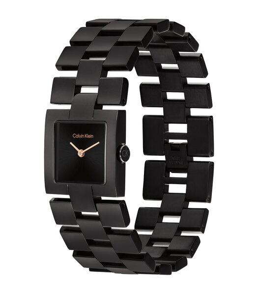 Montre CALVIN KLEIN WATCHES CK MERIDIAN Femme 25100091 Analogue Cadran MINERAL Noir Bracelet Acier Noir Etanchéité 3BAR