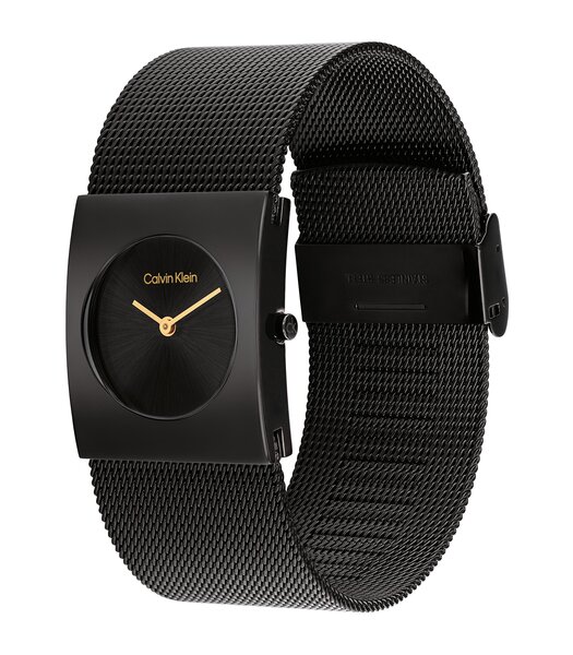 Montre CALVIN KLEIN WATCHES TIMELESS Femme 25100109