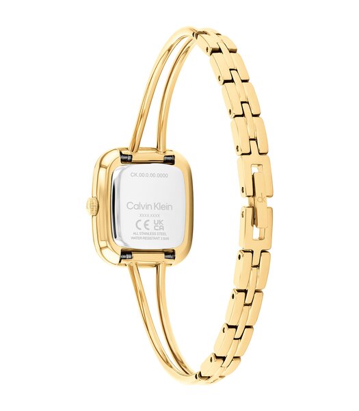 Montre CALVIN KLEIN WATCHES CK ADORE Femme 25100132 Analogue Cadran MINERAL Or jaune Bracelet Acier Or jaune Etanchéité 3BAR