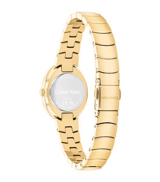 Montre CALVIN KLEIN WATCHES TWISTED BEZEL Femme 25100147 Analogue Cadran MINERAL Or jaune Bracelet Acier Or jaune Etanchéité 3BAR