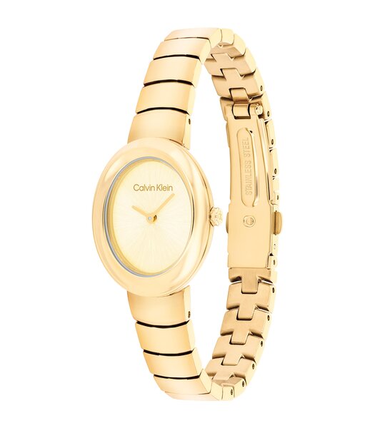 Montre CALVIN KLEIN WATCHES TWISTED BEZEL Femme 25100147 Analogue Cadran MINERAL Or jaune Bracelet Acier Or jaune Etanchéité 3BAR