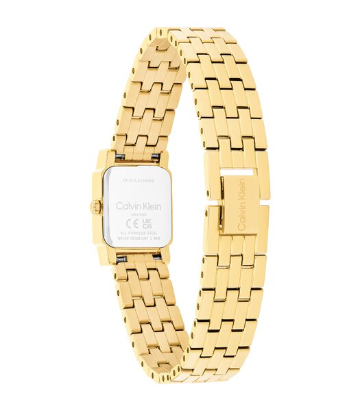 Montre CALVIN KLEIN WATCHES POISE Femme 25100162 Analogue Cadran MINERAL Or jaune Bracelet Acier Or jaune Etanchéité 3BAR