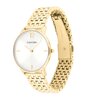 Montre CALVIN KLEIN WATCHES LUXE Femme 25100172 Analogue Cadran MINERAL Blanc Bracelet Acier Or jaune Etanchéité 3BAR