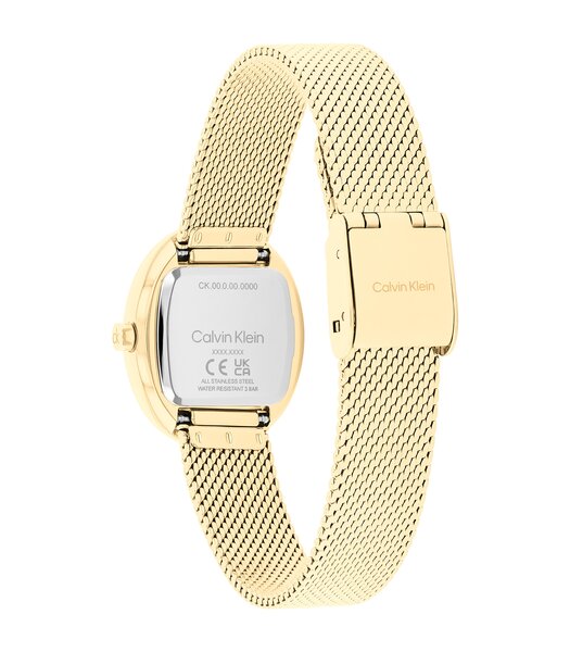 Montre CALVIN KLEIN WATCHES EUPHORIA Femme 25100174 Analogue Cadran MINERAL Or jaune Bracelet Acier Or jaune Etanchéité 3BAR
