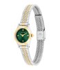 Montre CALVIN KLEIN WATCHES CK CONTEMPORARY Femme 25100202 Analogue Cadran MINERAL Vert Bracelet Acier inoxydable Acier / or jaune Etanchéité 3BAR