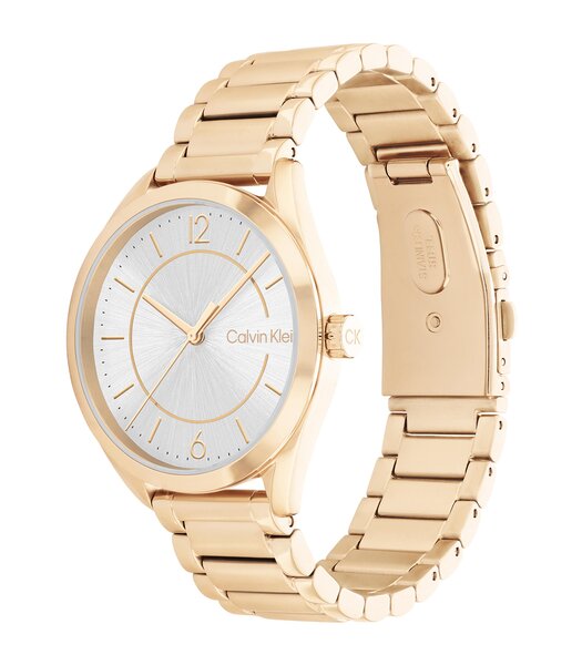 Montre CALVIN KLEIN WATCHES ENTICE Femme 25200191 Analogue Cadran MINERAL Gris Bracelet Acier Or jaune Boucle déployante Etanchéité 3BAR
