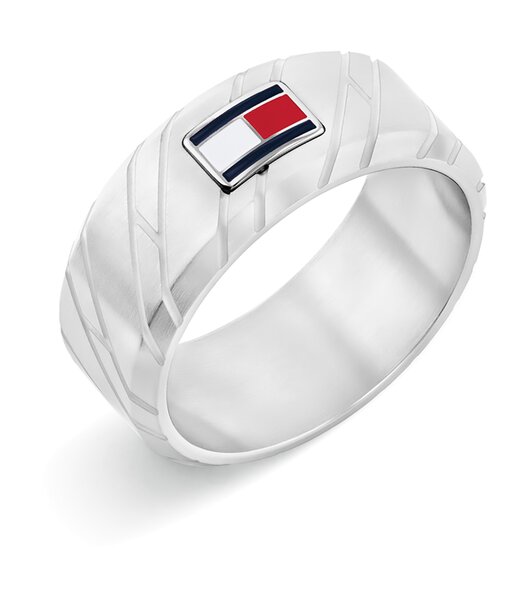 Jeweel TOMMY HILFIGER JEWELS LARS 2790621G Heren