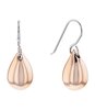 Bijou CALVIN KLEIN JEWELRY EARRINGS 35000075